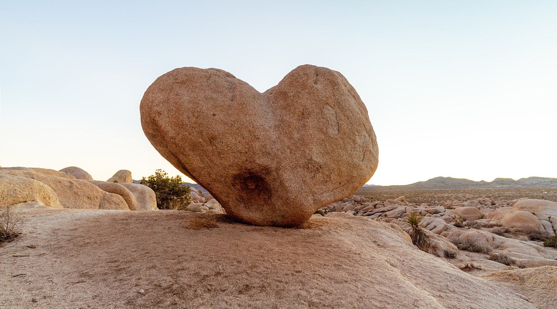 6 Valentine's Day Ways to Love Your Mother (Earth)