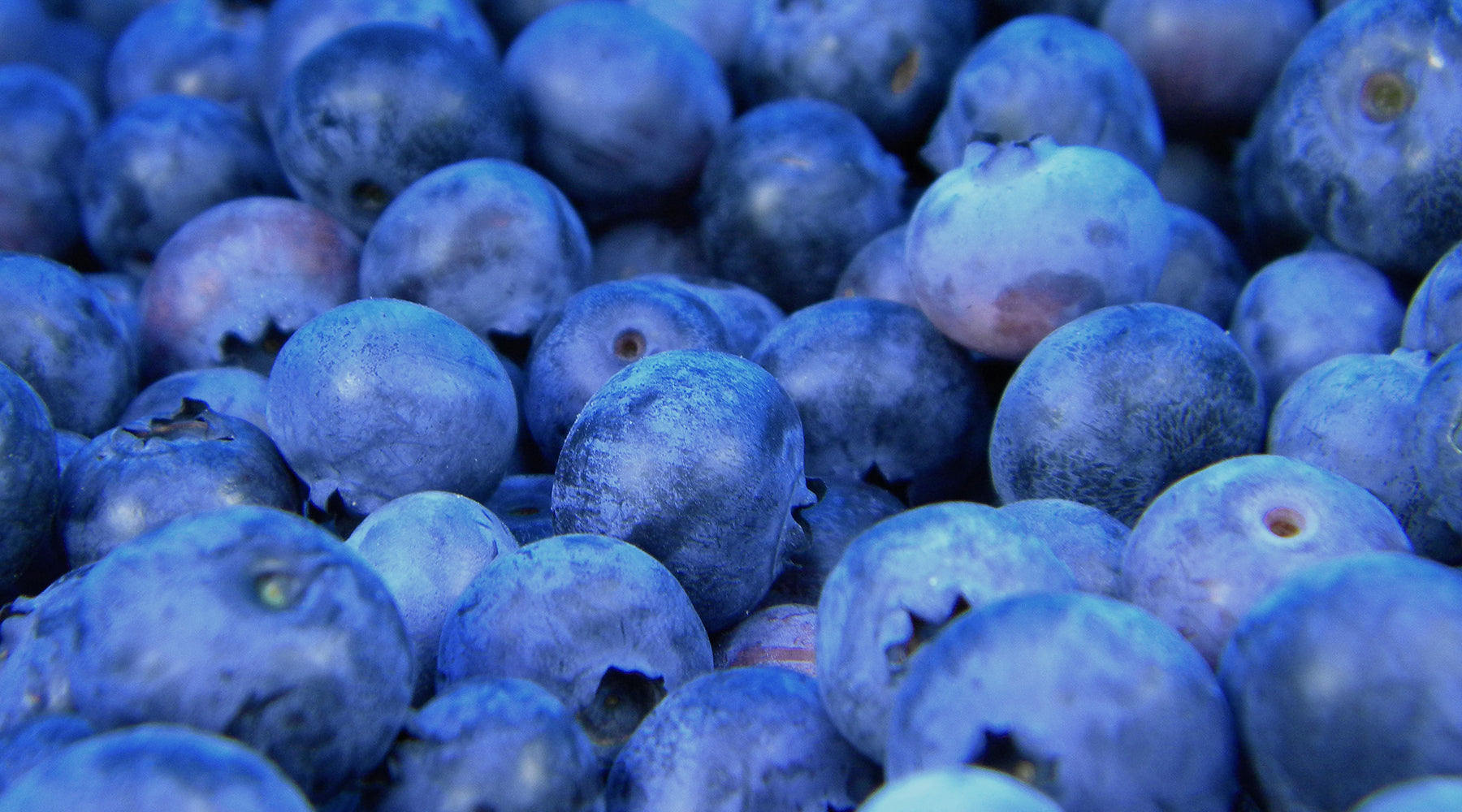 Food Waste 101: What To Do With Overripe Fruit