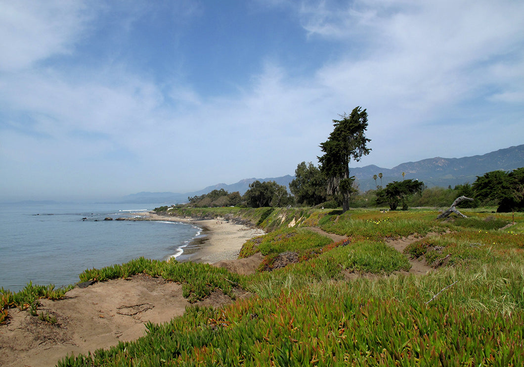 Earth Day in Santa Barbara