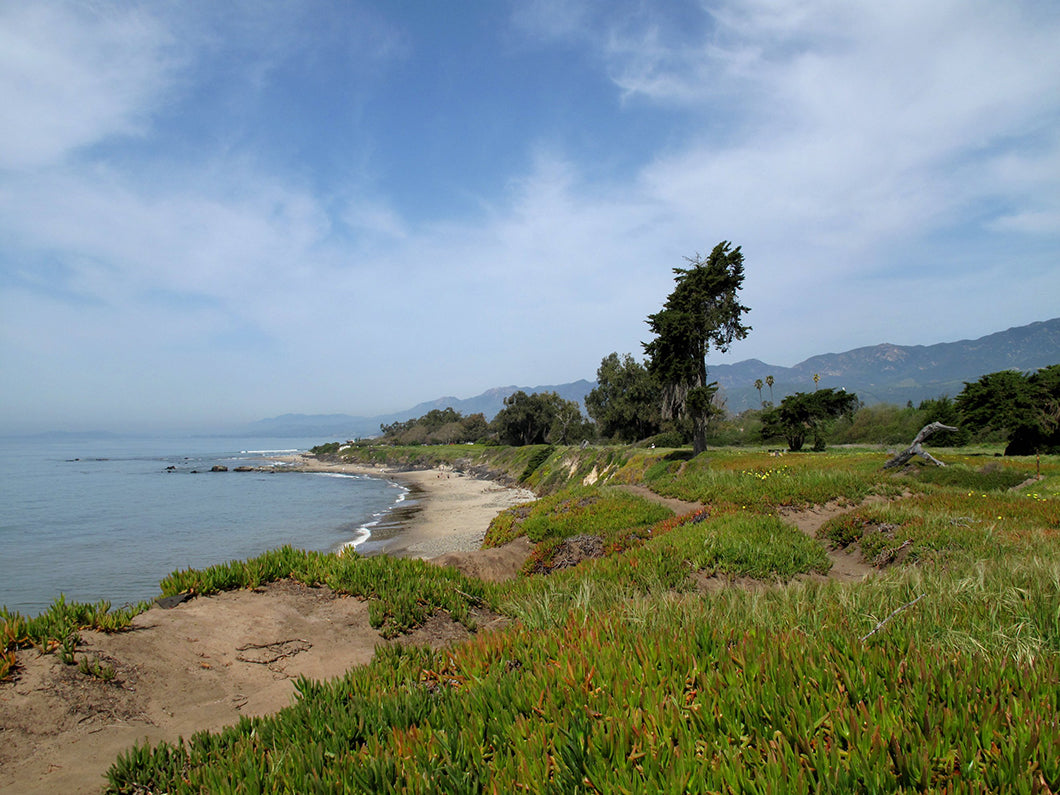 Earth Day in Santa Barbara