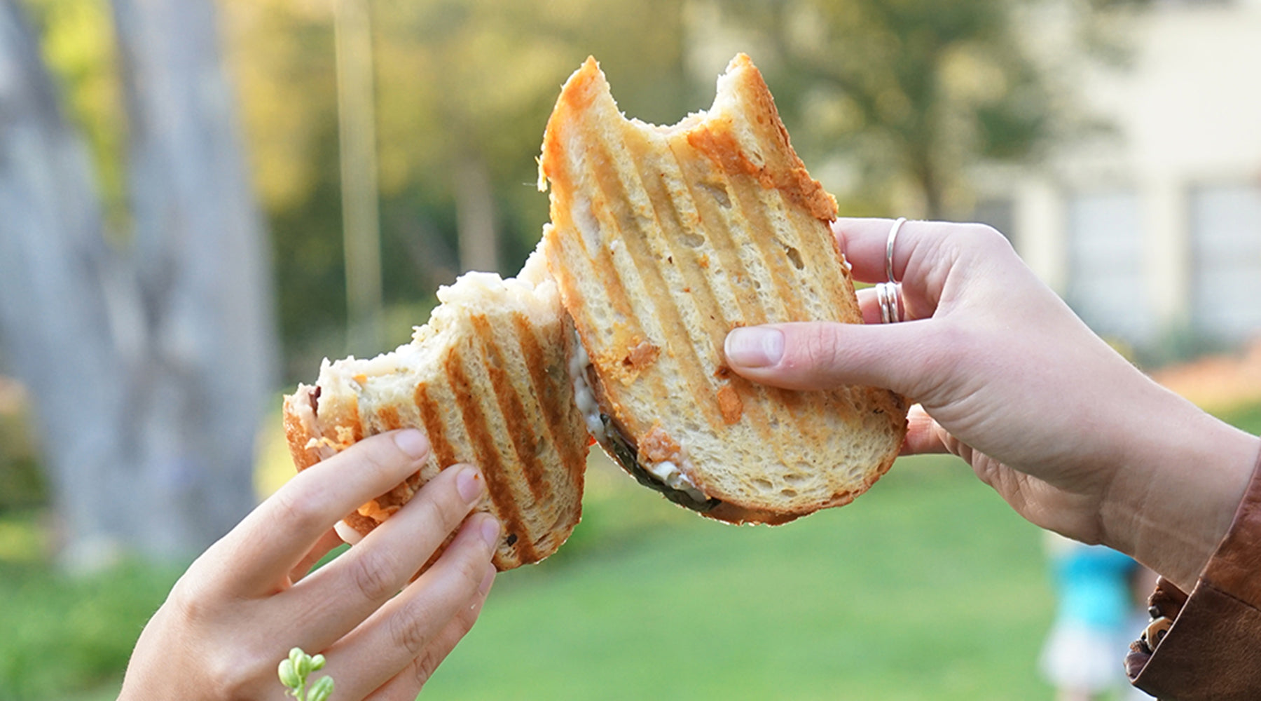 The Toad&Co Annual Grilled Cheese Smackdown: A Definitive History