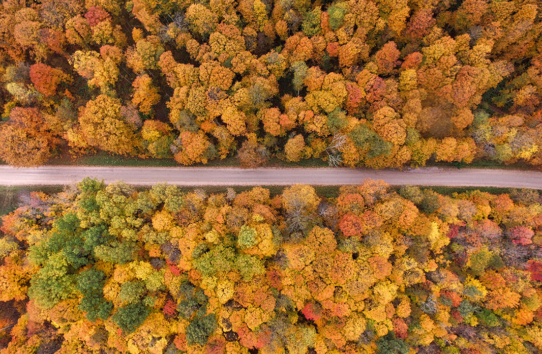 5 Fall Road Trips for Leaf Peeping