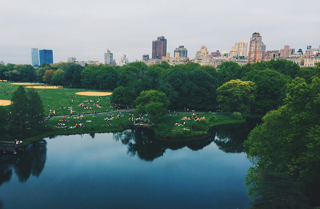 Summer To-Do: Shakespeare in the Park