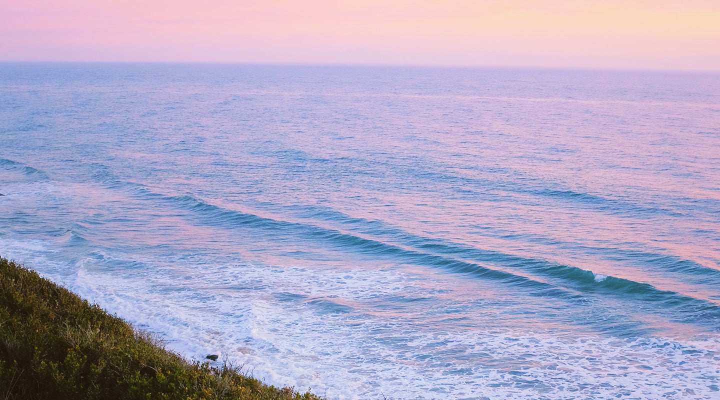 Coastal Clean Up Day: California's Largest Single Day Volunteer Event