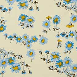 Barley Daisy Print