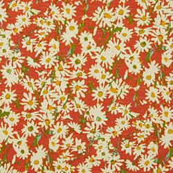 Mango Daisy Field Print