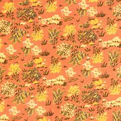 Dreamsicle Print