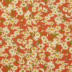 Mango Daisy Field Print