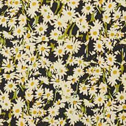 Barley Daisy Field Print