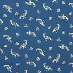 Pacific Blue Bird Print