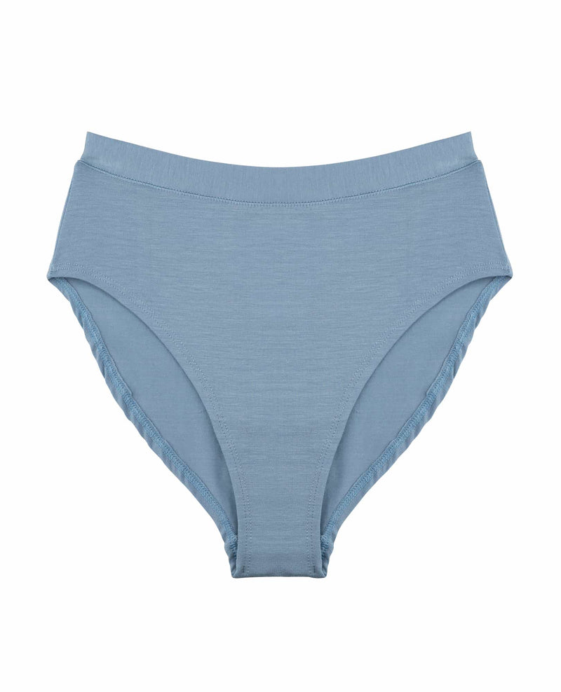 Uniqlo Womens Underwear  Flower Bikini BLUE * Moticommodity